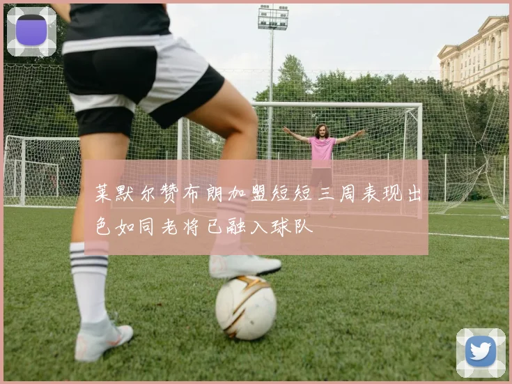 莱默尔赞布朗加盟短短三周表现出色如同老将已融入球队